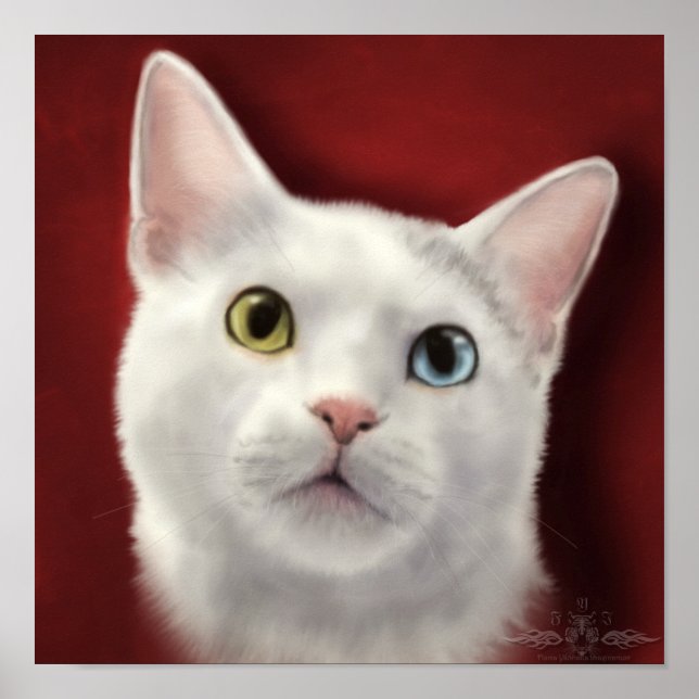 Poster Lacey (Devant)