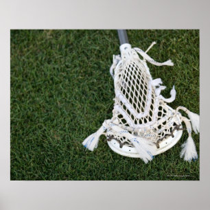 Poster Lacrosse stick on grass