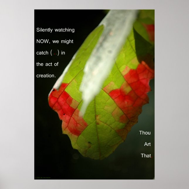 Poster L'acte de création (Devant)