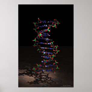 Poster L'ADN sous les projecteurs