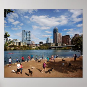 Poster Ladybird Lake Dog Park Austin Texas Skyline