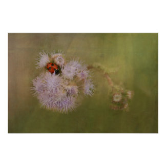 Poster Ladybird sur Dandelion Fermer l'art photographique