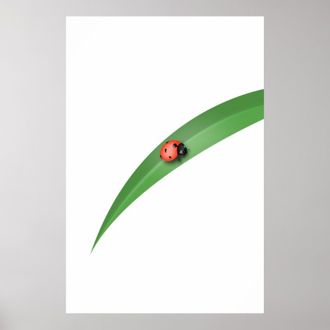 Poster Ladybug Leaf (Devant)