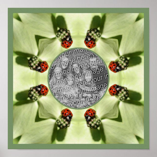 Poster Ladybug Sur Dogwood Nature Ajouter Votre Photo (Devant)
