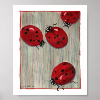 Poster Ladybugs!
