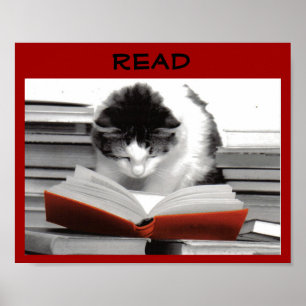 Poster L'affiche d'alphabétisation des chats bien lue