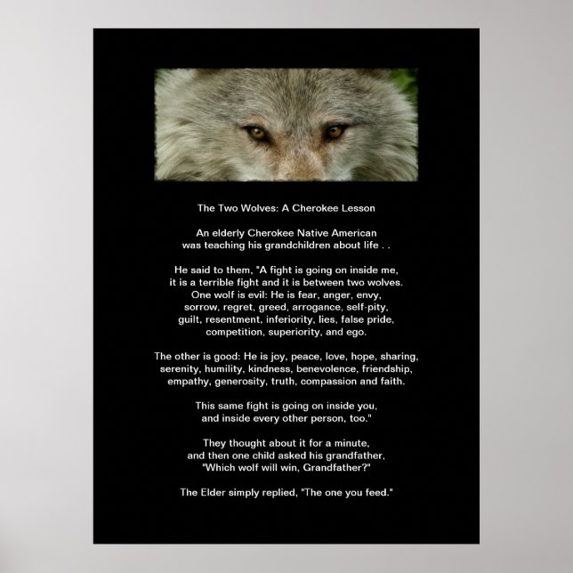 Poster L'affiche d'art des deux WOLVES CHEROKEE LESSON (Devant)