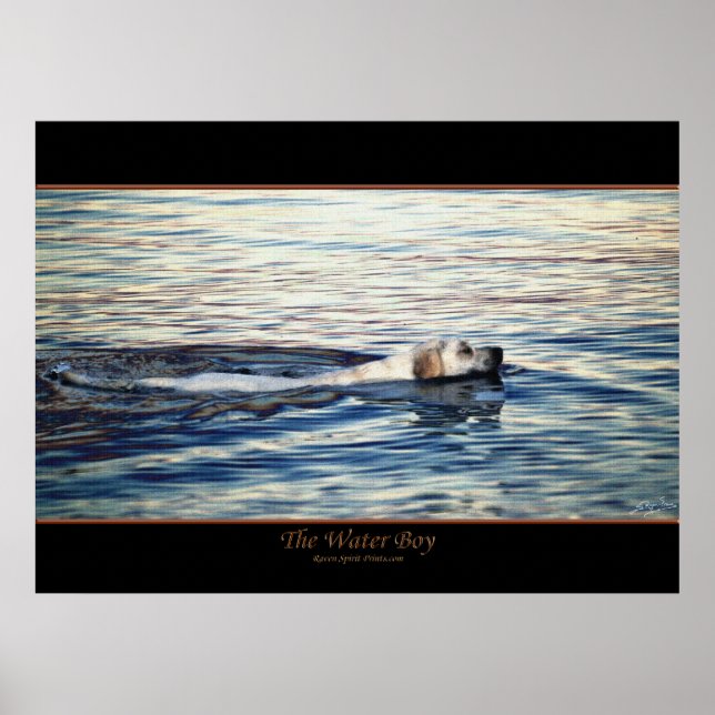 Poster L'affiche d'art du chien de l'EAU (Devant)