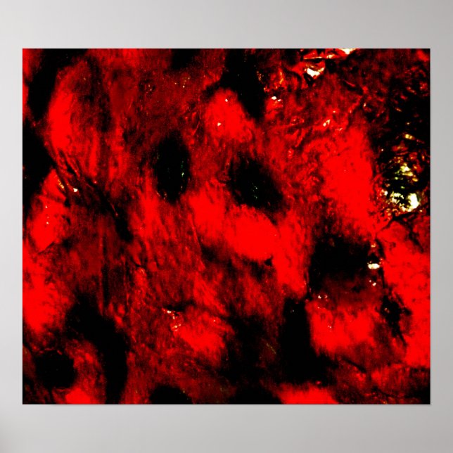 Poster L'affiche de Burning Man (Devant)