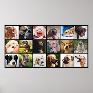 Poster L'affiche de l'amoureux des chiens