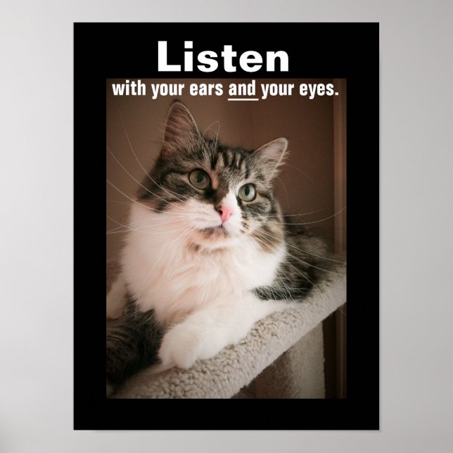 Poster L'affiche d'écoute (Devant)