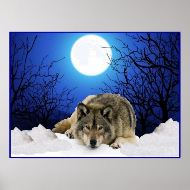 Poster L'affiche du loup de l'observateur (Devant)