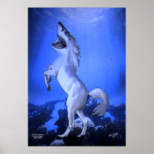 Poster L'affiche du requin cheval