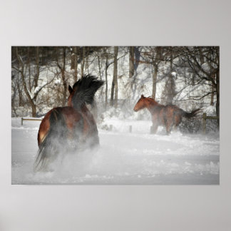 Poster L'affiche hivernale du Cheval de Chase