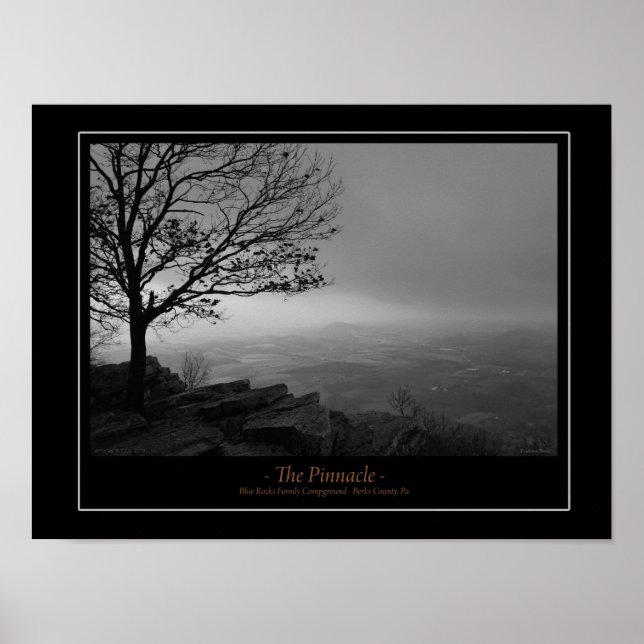 Poster L'affiche Pinnacle (Devant)