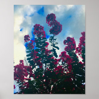 Poster lagerstroemia un jour nuageux