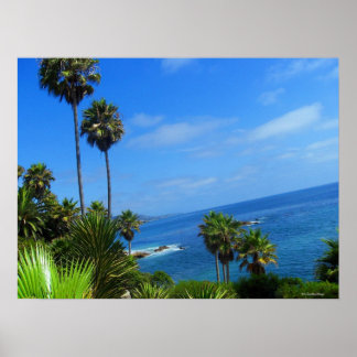 Poster Laguna Palm Trees et Ocean Bliss