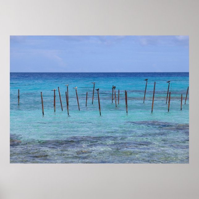Poster Lagune de Rangiroa (Devant)