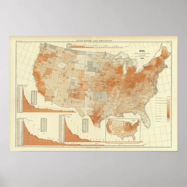 Poster Laine (Devant)