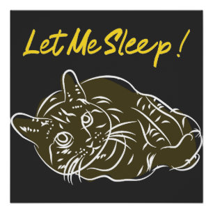 Poster Laisse-Moi Dormir ! Citation amusante
