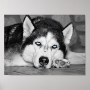 Poster Laisse-Moi Dormir, S'Il Te Plaît