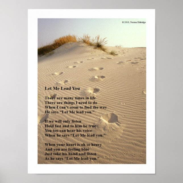 Poster Laisse-Moi Te Mener. (Devant)