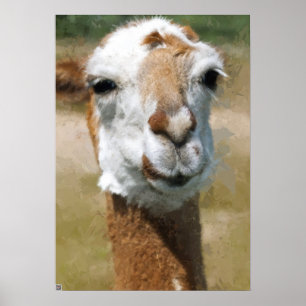 Poster Lama heureux, effet de peinture