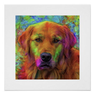 Poster L'âme amicale