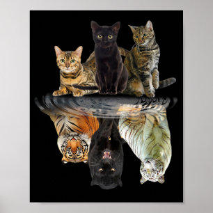 Poster L'ami des chats Amoureux des chats Tigre mou
