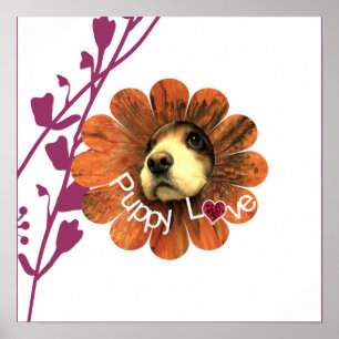 Poster L'amour des chiots