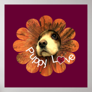 Poster L'amour des chiots