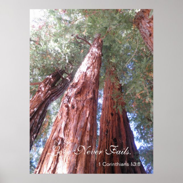 Poster L'amour n'échoue jamais (Devant)