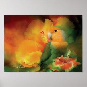 Poster L'Amour Parmi Les Hibiscus Poster/Imprimer