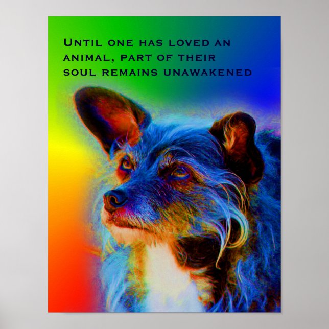 Poster L'Amour Pour Les Animaux Citer Inspirationnel (Devant)