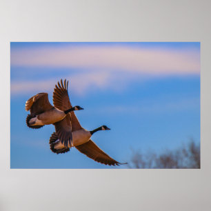 Poster l'amour reste uni