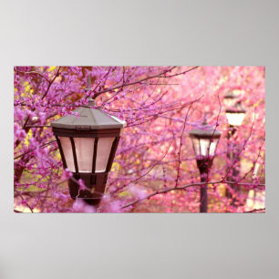 Poster Lamps of UVA