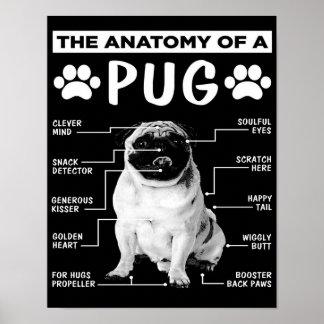Poster L'Anatomie D'Un Carlin Amateur De Animaux