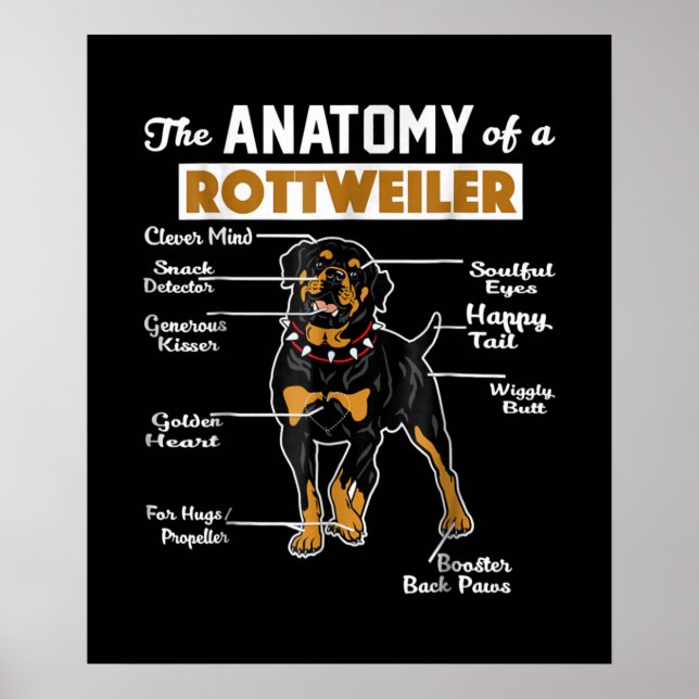 Poster L'Anatomie D'Un Rottweiler | AMOUREUX DES CHIENS C (Devant)