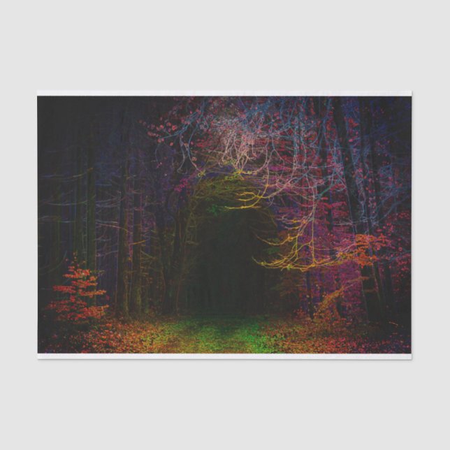 Poster Landschaft Mitternachtswald Seidenpapier (Vorderseite)