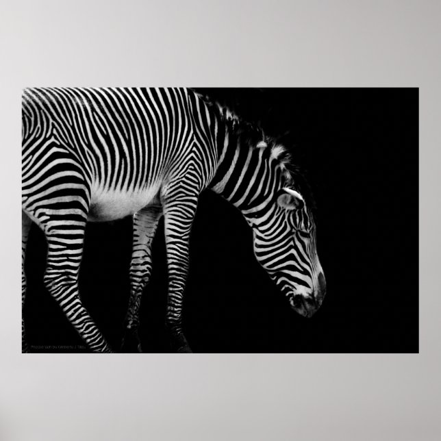 Poster Langage du corps (Devant)