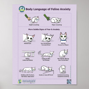 Poster Langage du corps de l'anxiété Feline