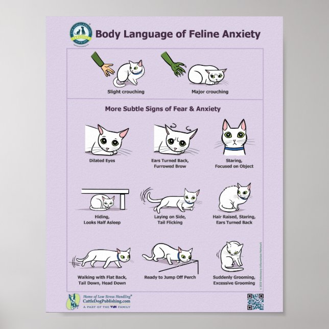 Poster Langage du corps de l'anxiété Feline (Devant)