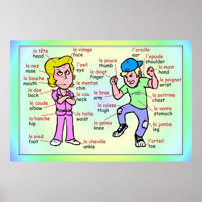 Poster Langues modernes, Français, Parties du corps (Devant)