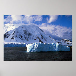 Poster L'Antarctique