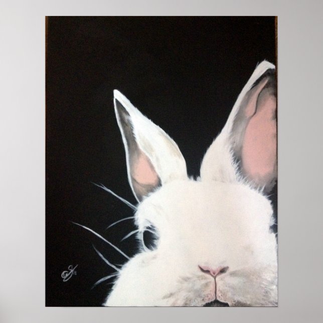 Poster Lapin blanc.jpg (Devant)