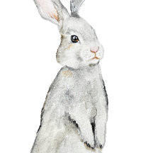 Lapin de velours drôle