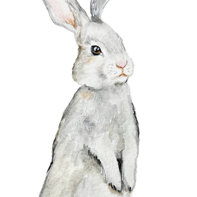 Poster Lapin de velours drôle (Créateur téléchargé)