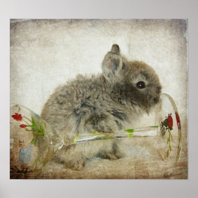 Poster Lapin en tête de lionhead et Verre à vin (Devant)