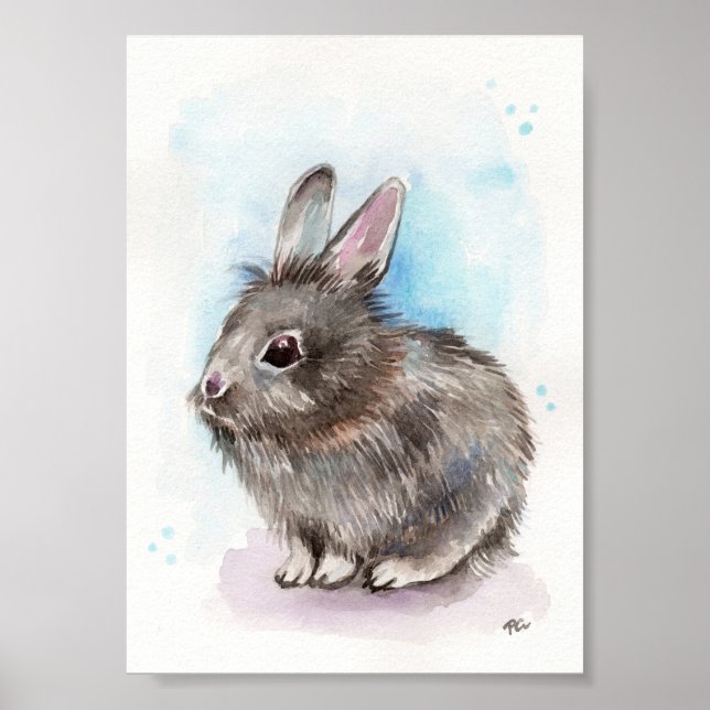 Poster Lapin gris (Devant)