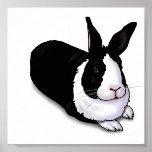 Poster Lapin noir et blanc